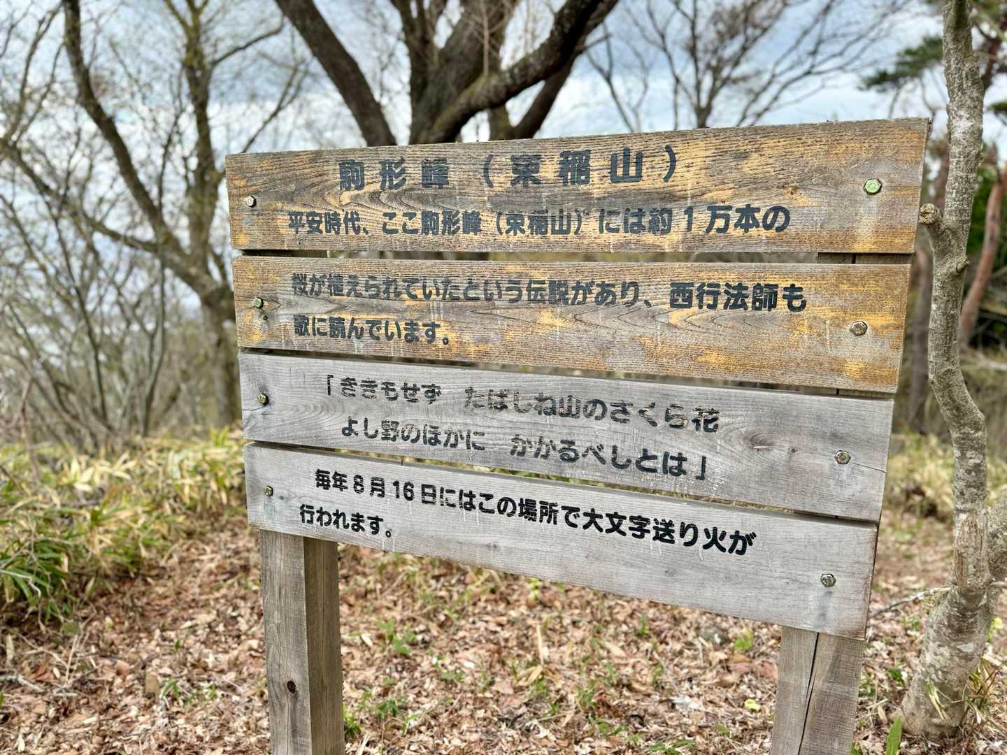 西行法師が訪れた頃は桜が沢山咲いていて、奈良県の吉野山にも引けを取らないと歌を詠んだそうです。

只今、桜を植林してその景色を復活させようとしているみたいです。

夏には、ここで大文字焼きもしているみたいですね。