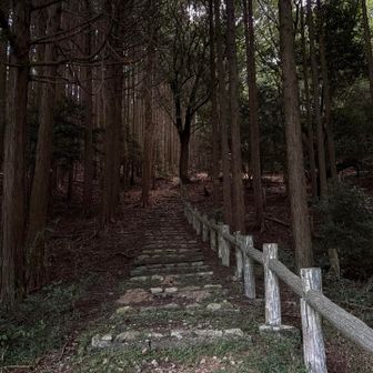 階段からなんだ😅
