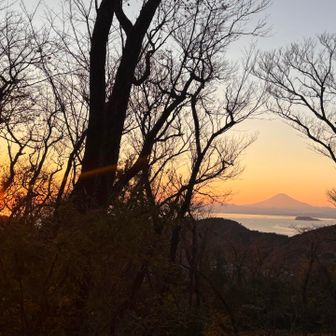 富士山見えた！すてき〜