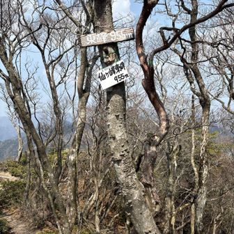 仙ヶ峰東嶺🚩955m
眺望…微妙😆