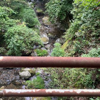 スタートゴールの橋