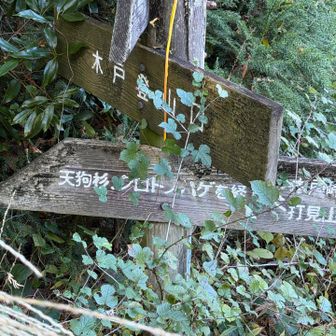 おハゲちゃんっていうなーーーーーーーーー🤣