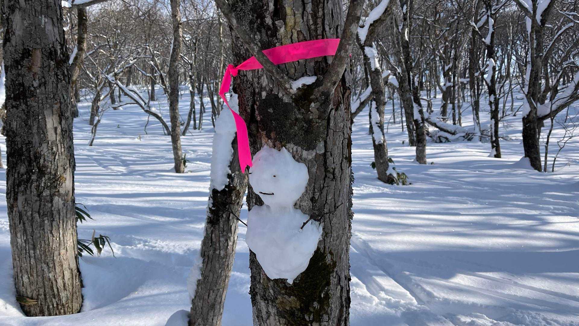 鷲別岳 往復コースの写真