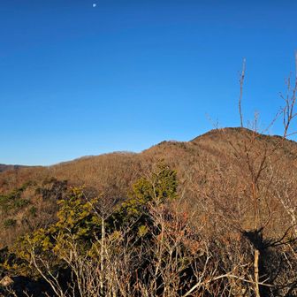 多分名前の読めない山