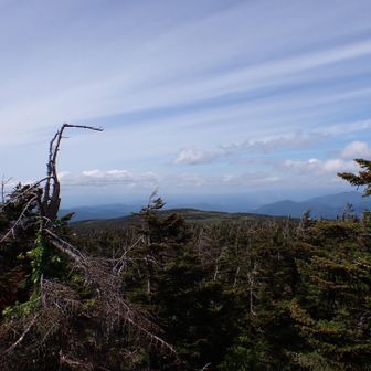山頂からの眺め