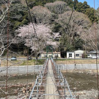 吊り橋があったら渡るよね〜