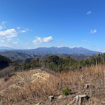 切り株で休んでる方もいたよ🍀
赤城山眺めながらいいねー👍