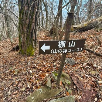 下山は「山の神コース」へ