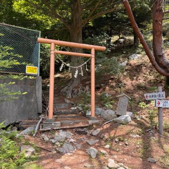 ヒル被害はナシ