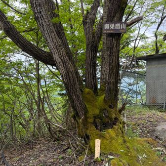 御巣鷹山⛰️

ここに、山頂標識あるの、知らなかった！
