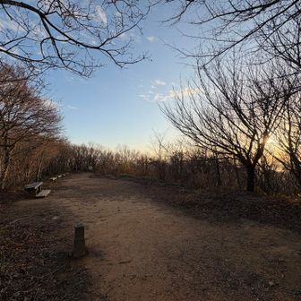 山頂はひらけており、背伸びをすれば日本海も見渡せる