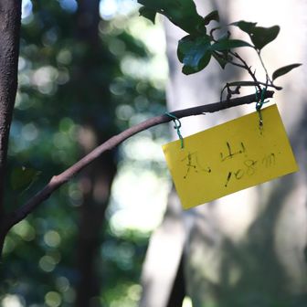 丸山
YAMAP1643座目