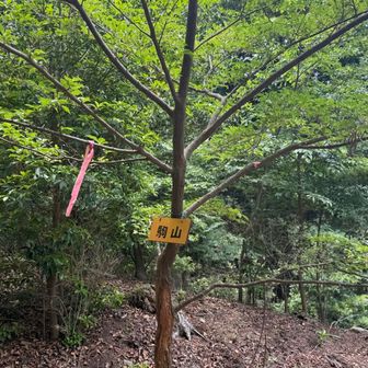 ここが山頂の