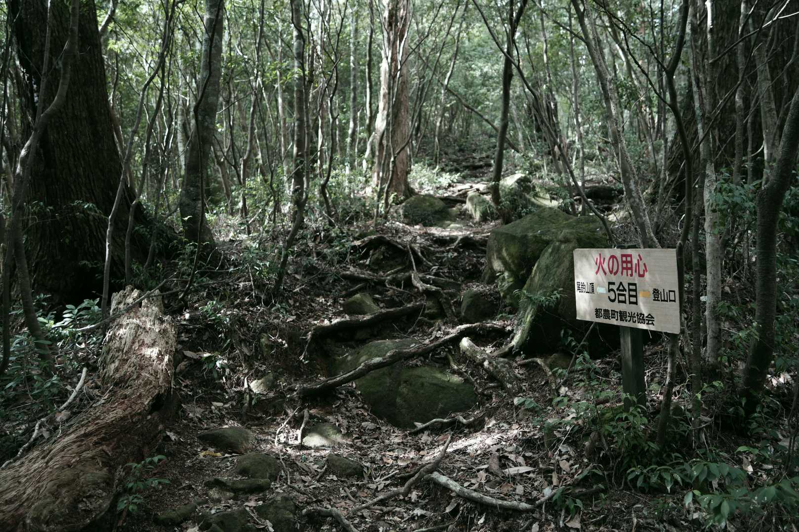 腹減った・・・
