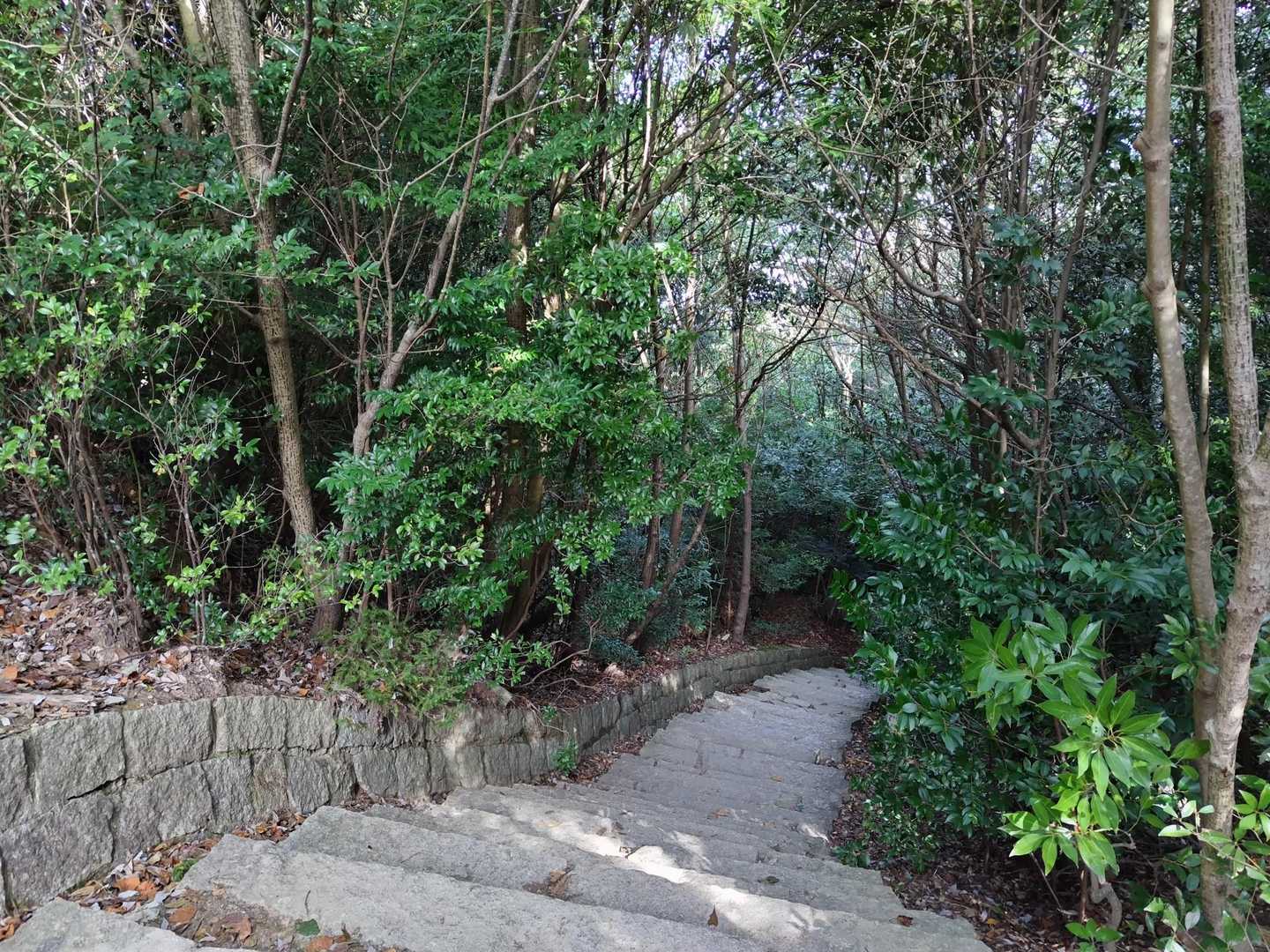 石階段を登りきって…