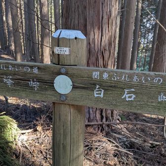 堂平山・笠山（乳房山）・大霧山 峠から峠へ
今日はいくつの峠と出会えるのかな
