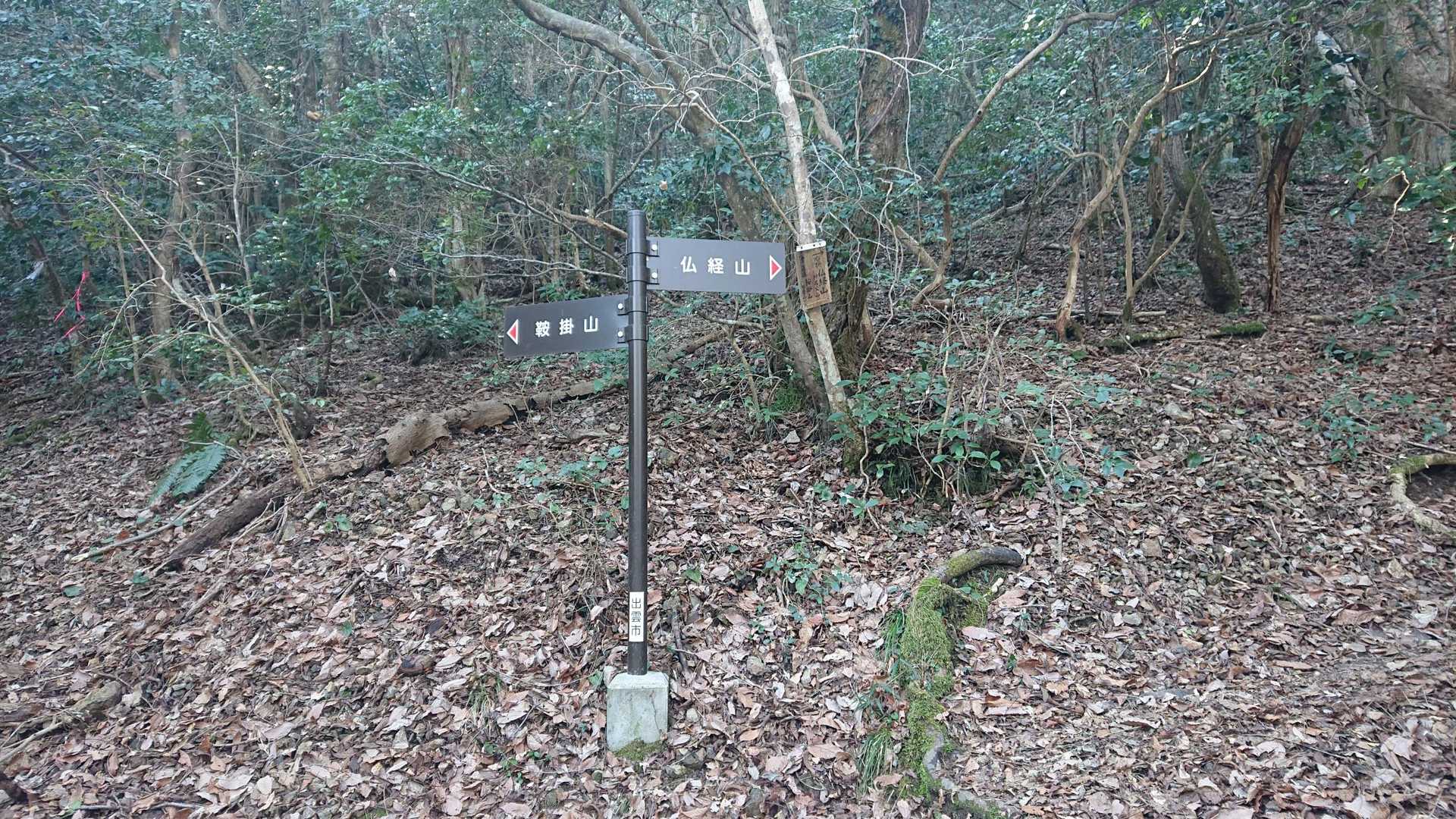 鞍掛山、気になるなぁ