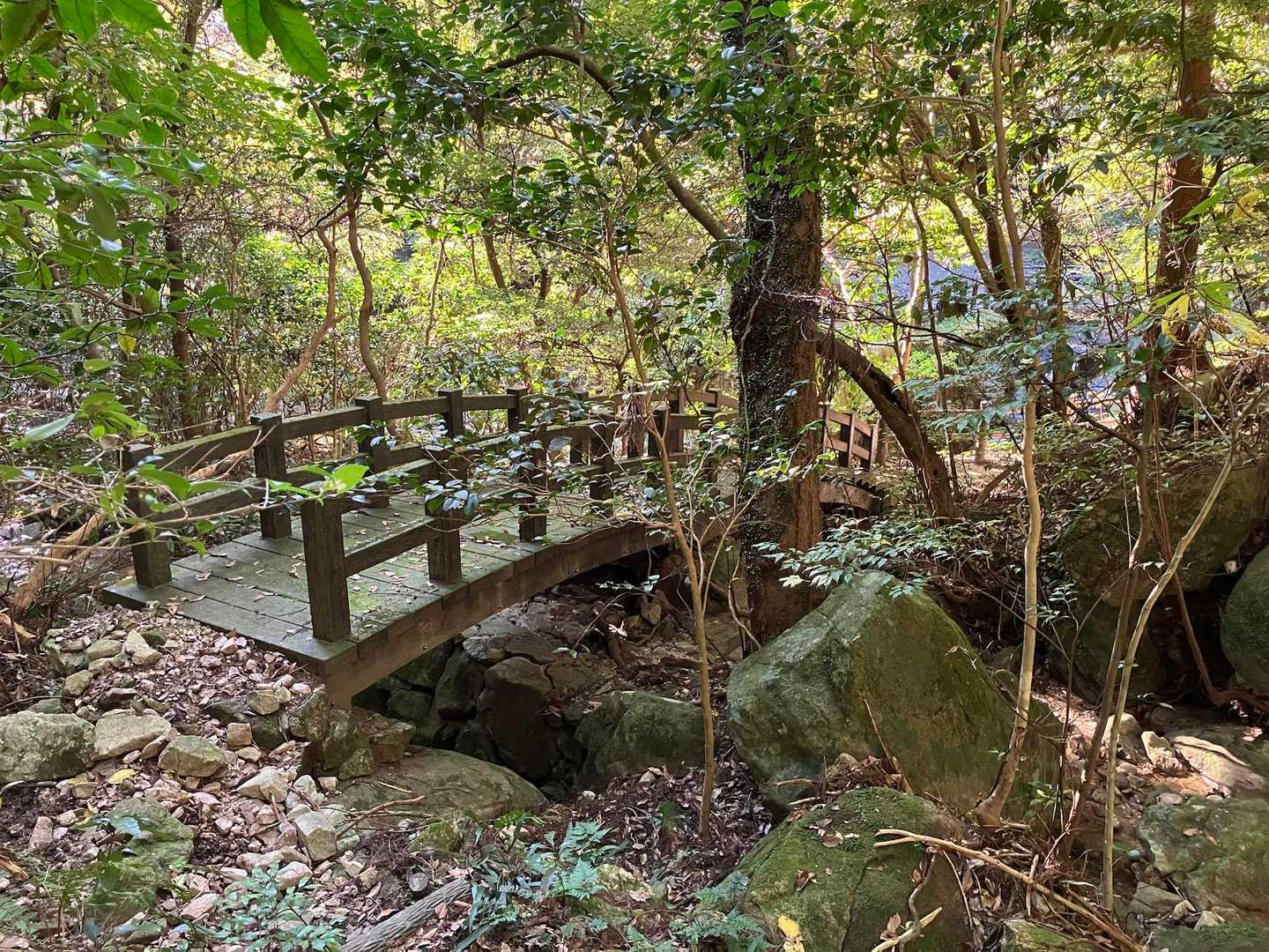 また、違う橋