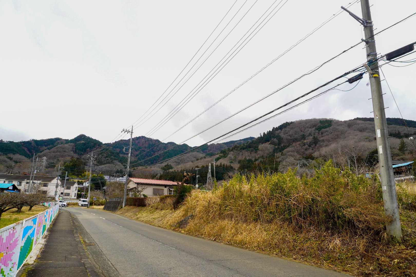 今日登ってきた山々