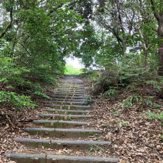 山頂へ。