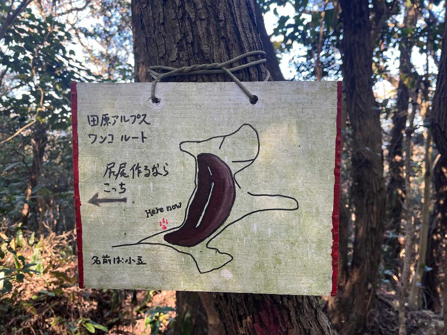 尻尾作りに行きました！