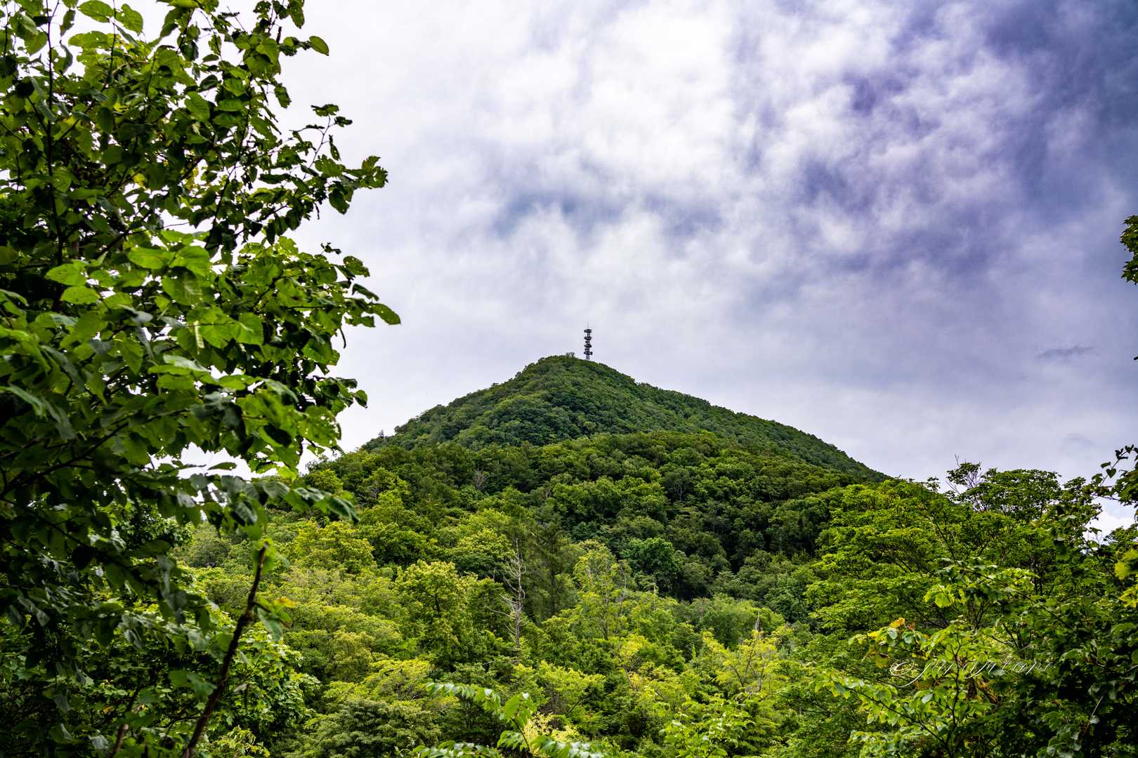 馬の背に行く下りの登山道から藻岩山山頂。