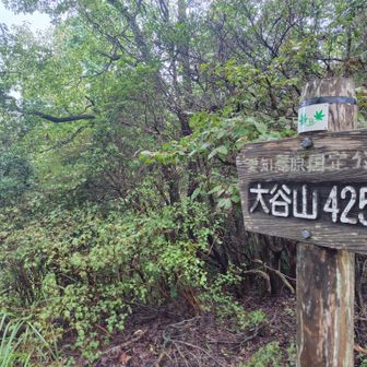 ②大谷山山頂