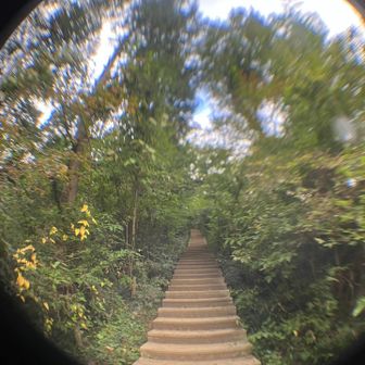 稲荷山コース最後の試練　自分で勝手に名付けた　帰って来たヨッパライの雲の階段です