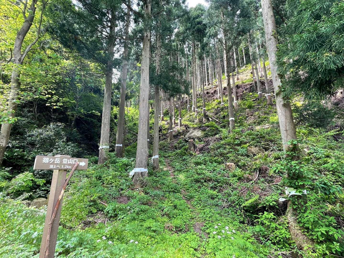 登山口