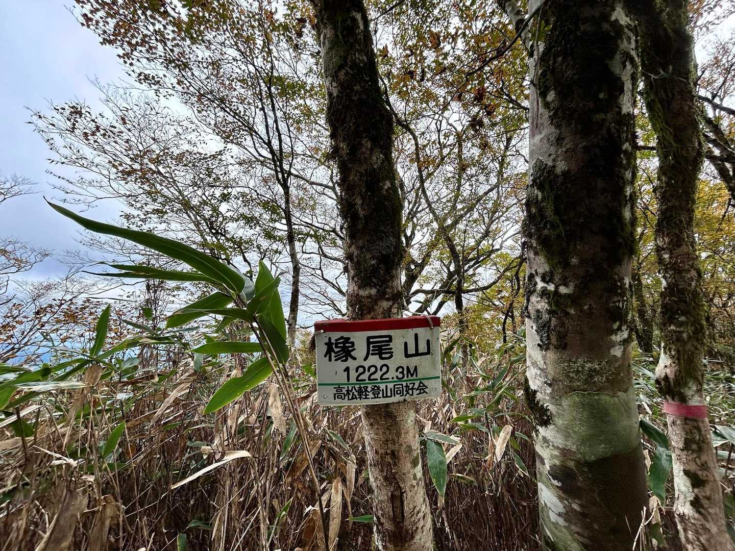着いたー🙌🏻
とちおやま、と読みます。