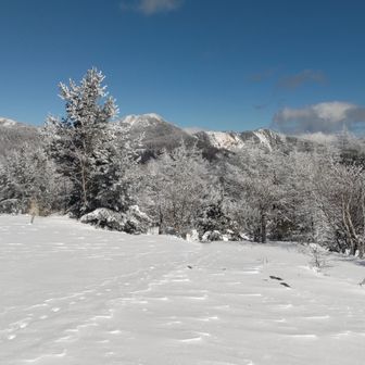 スノーシューでバフバフ行ける～（嬉）🚶