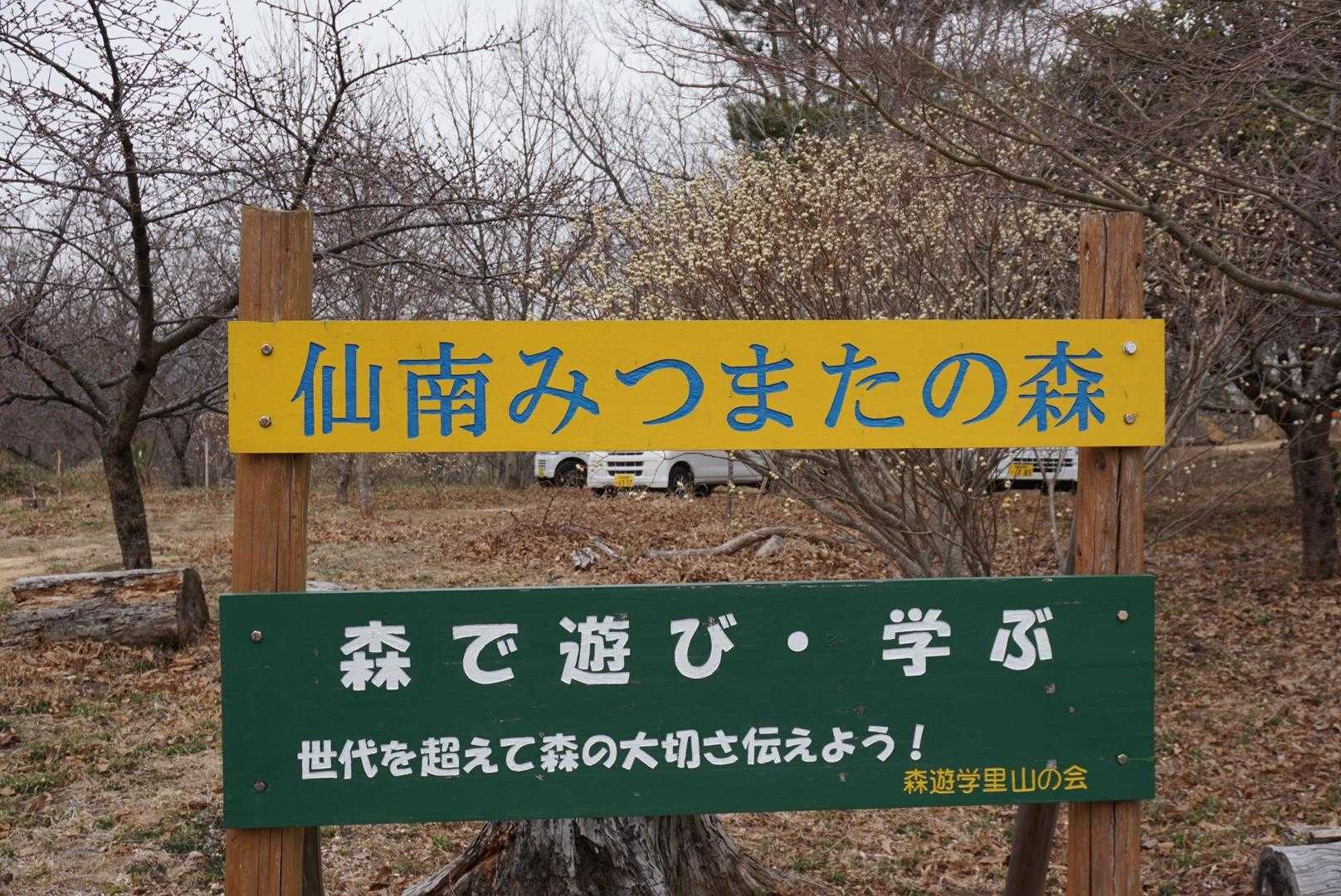 来てびっくり‼️
ミツマタがいっぱい
満開の頃に来たいな