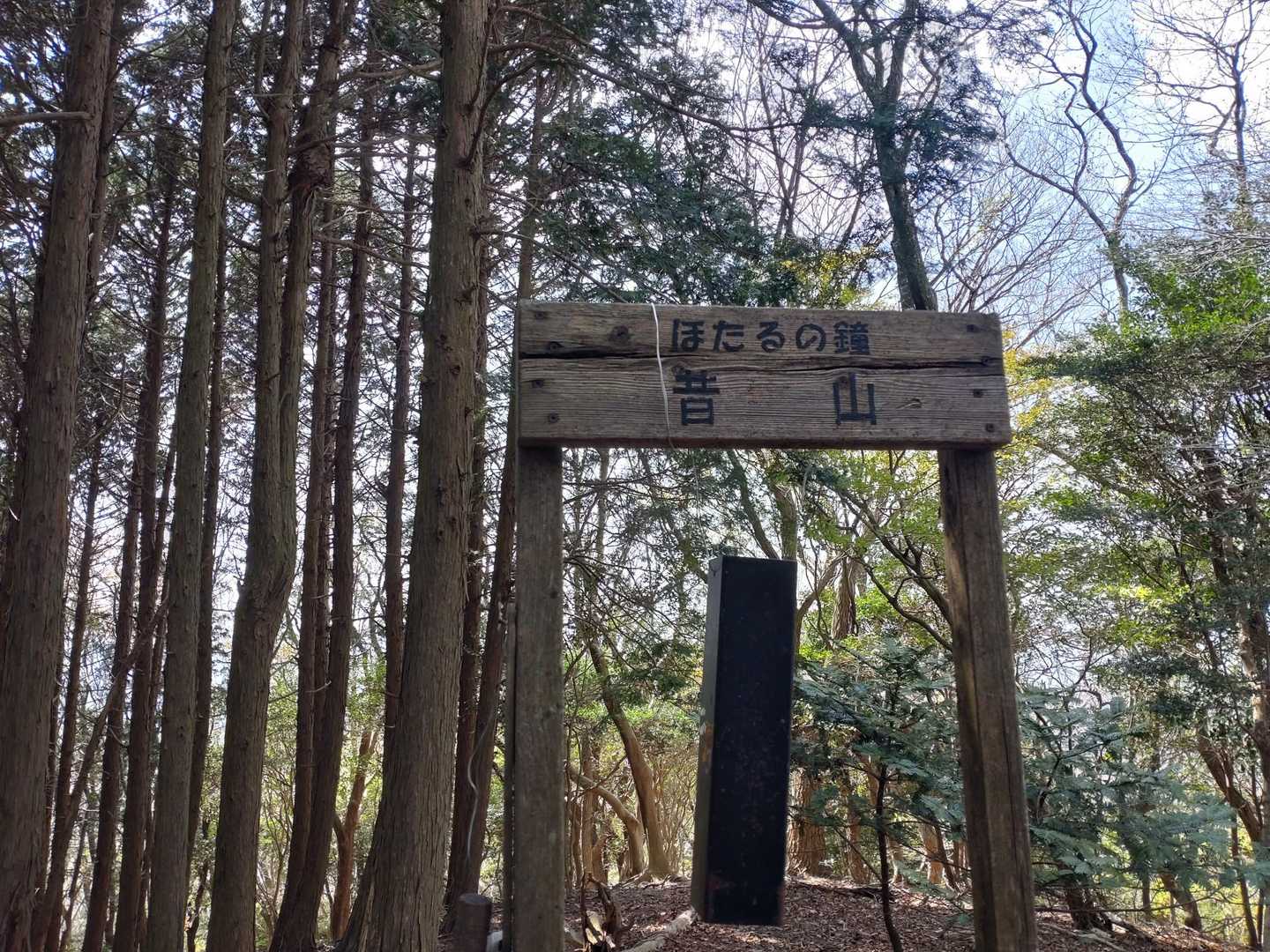 鳥川アルプス 周回コースの写真