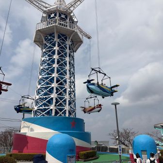 この辺りがピーク🤣