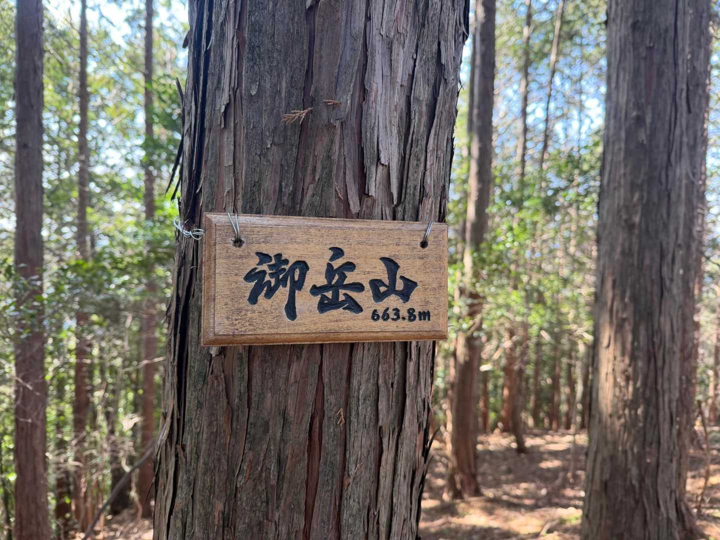 レポで予習した通り、こんなところを行くの！？
というところ多数あり💦

何度も撤退したくなりました（笑）