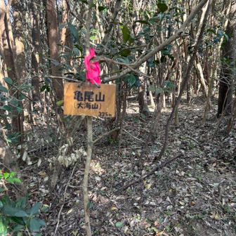 山頂　もう直ぐだよって言う意味ね