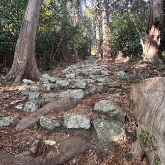 ボロボロの石段を登って駐車場に到着！