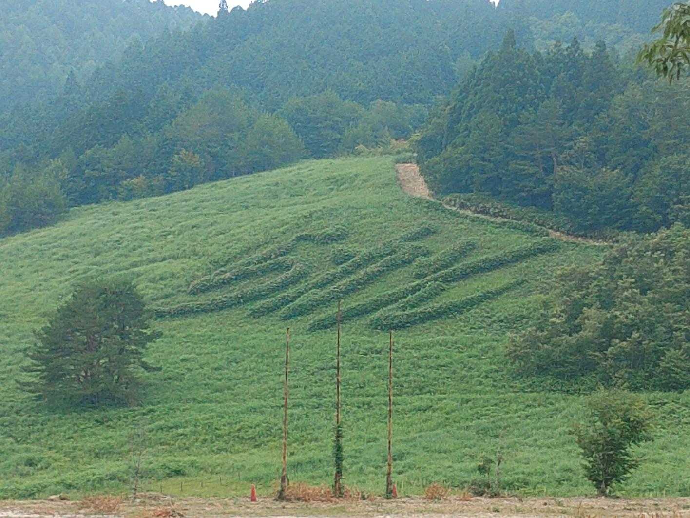 みんながよく撮ってるやつ😁