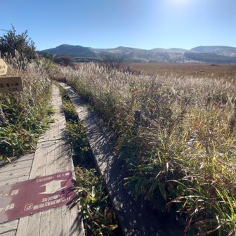 これより八島ヶ原湿原