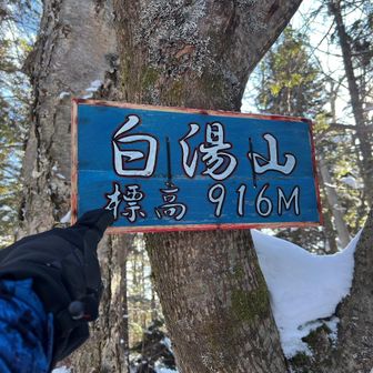 と、しばし探しまわって、発見！
ここに来る前の急斜面で「ギャー登れない～、ムリー！」という声が聞こえてたので、皆さん下の方で待ってるかも、と思い、急ぎ戻ろうとしたところで全員到着！☺️