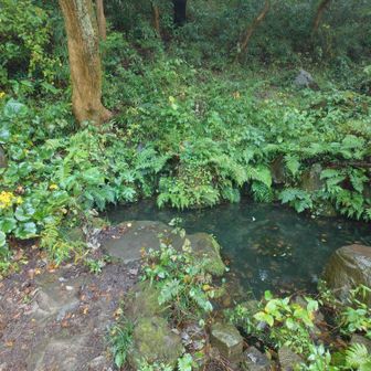 曽我十郎　硯水の池