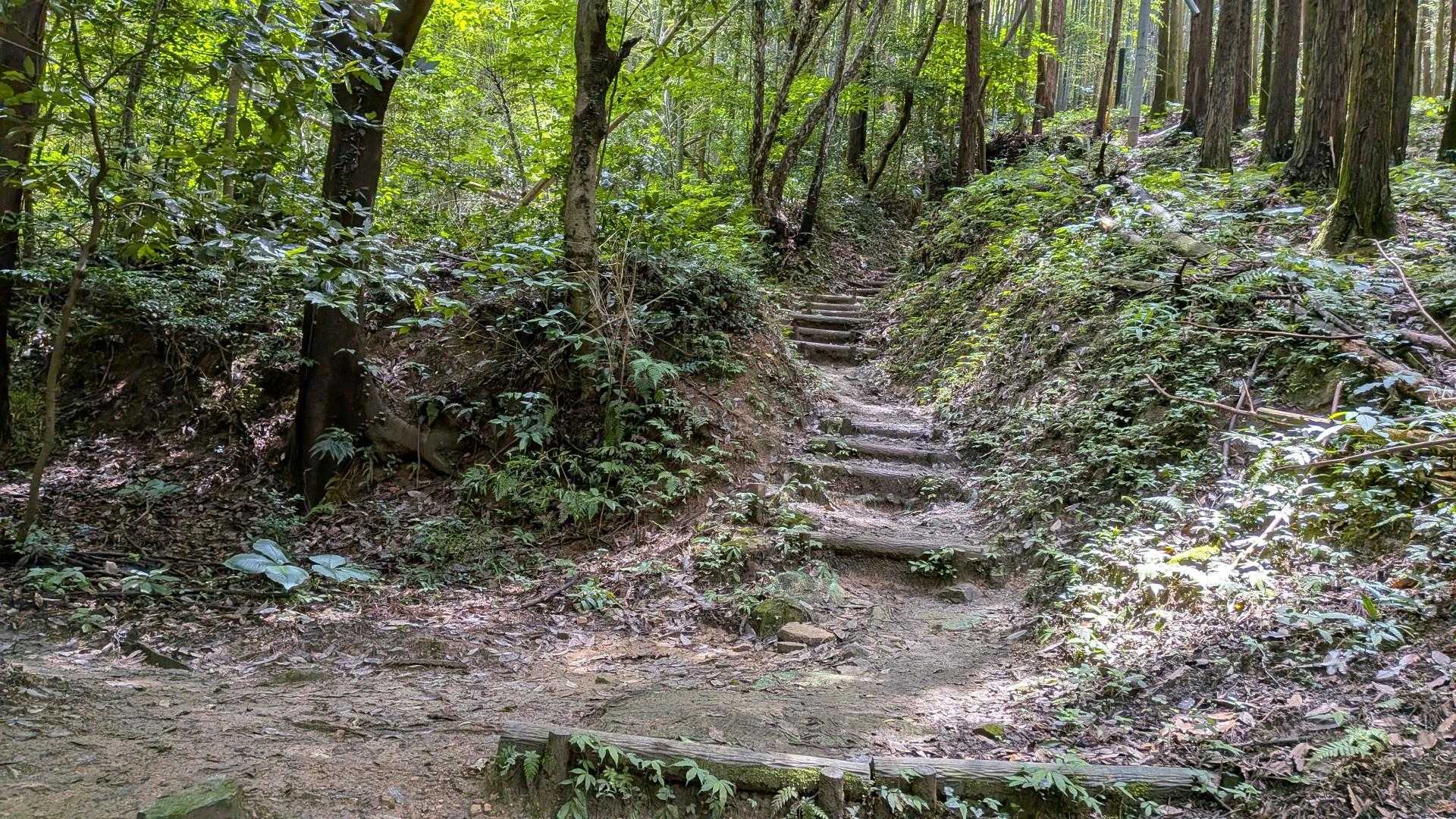 湿度高め