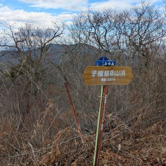 尾根に合流する手前が急登でした