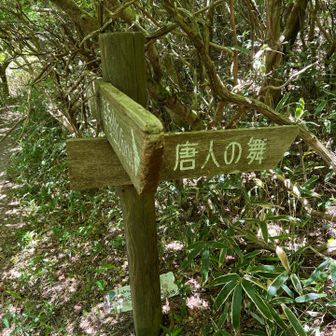 分岐の道標