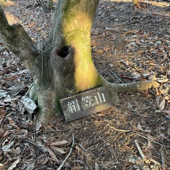 絹笠山。今回の縦走での最後のピーク⛰️