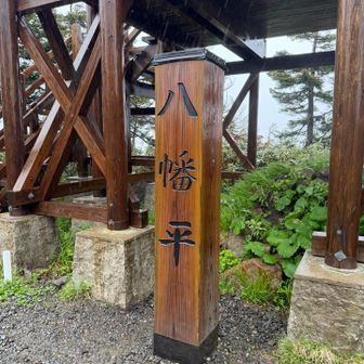 すぐ山頂