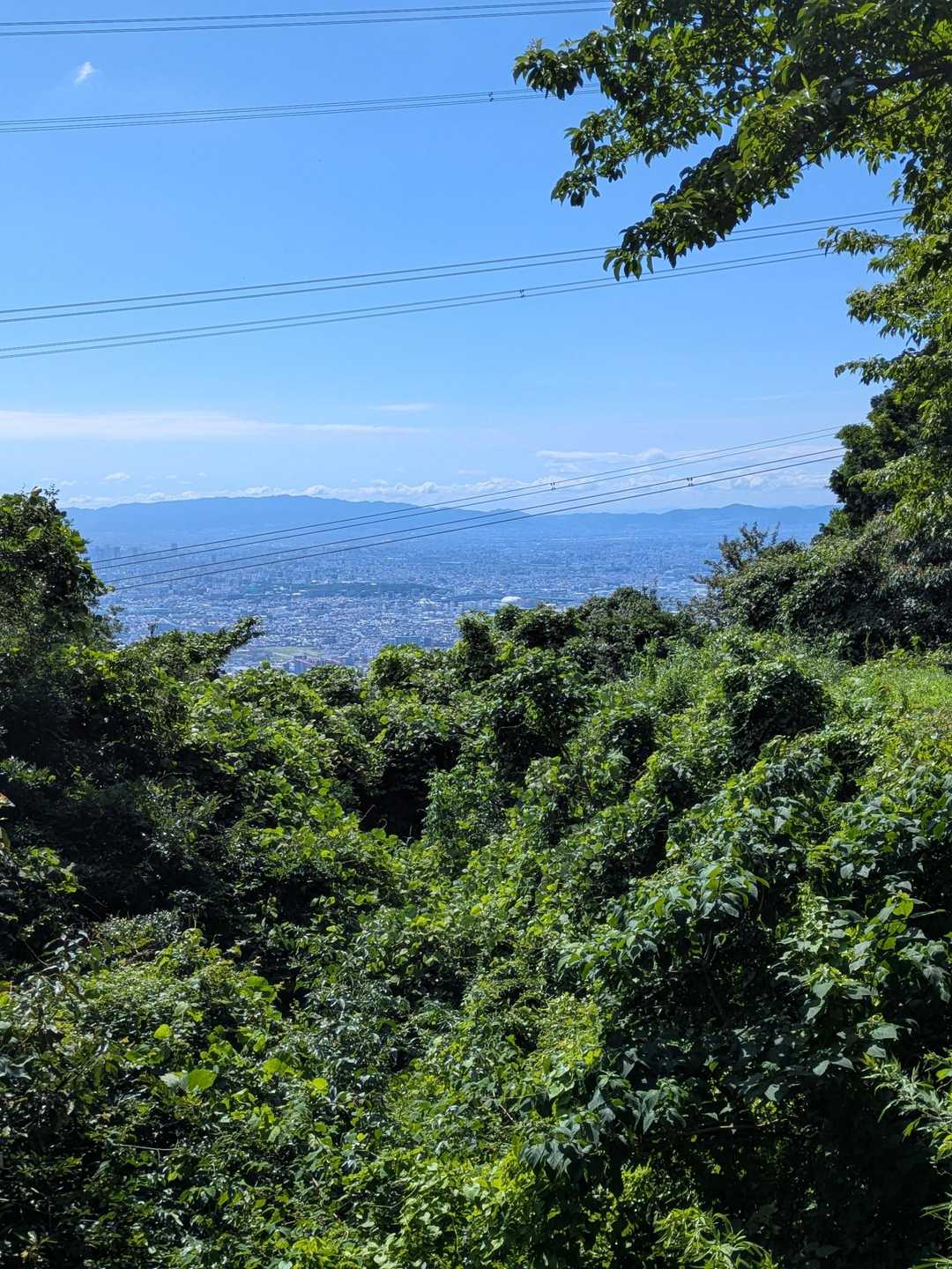 あじさい広場を後にしてまた暑い下界に戻ります。ありがとうございました🙇