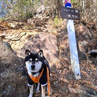 
シェール槍の取り付きへ🙋