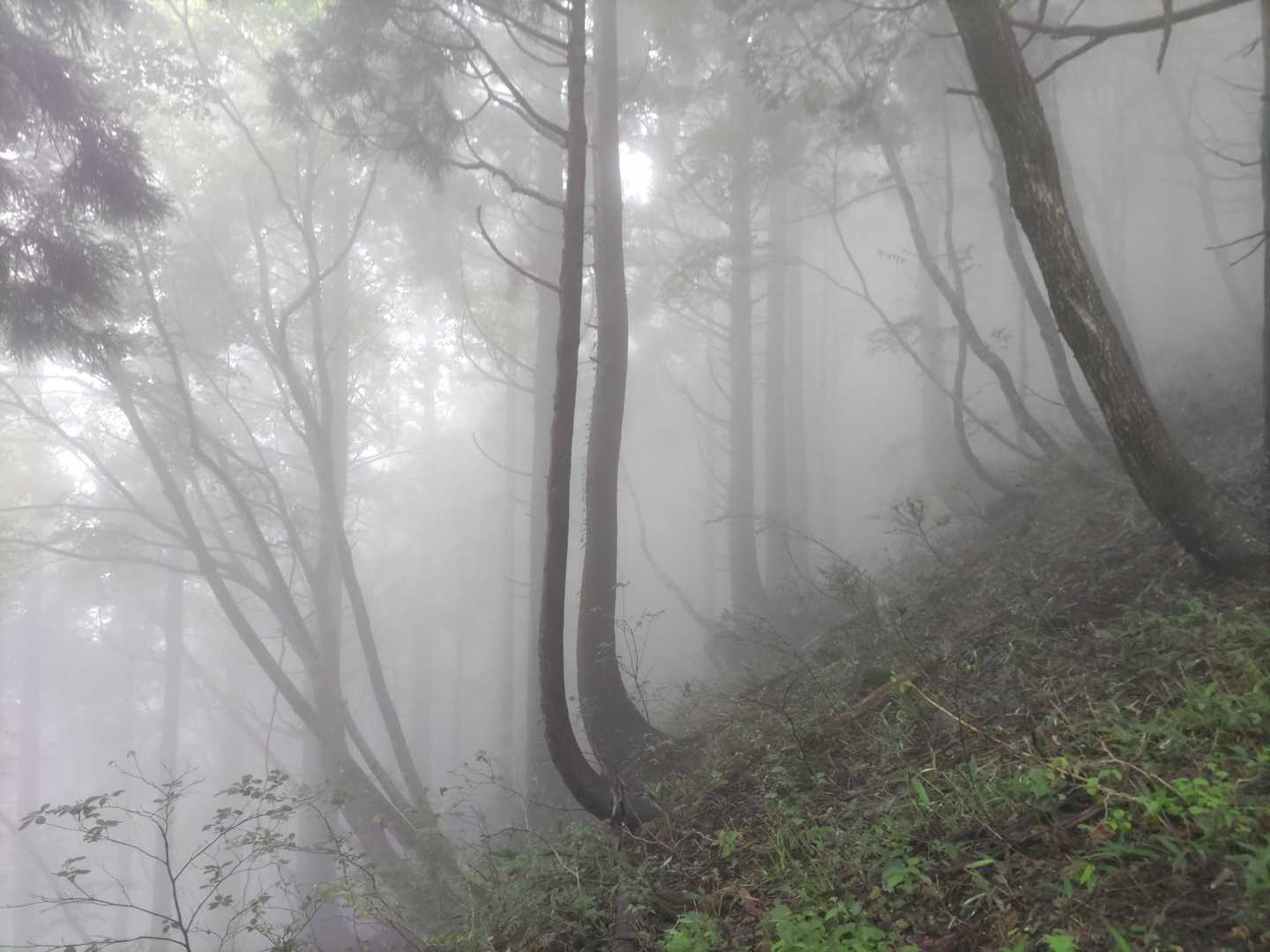 これはこれでなかなか良い😊