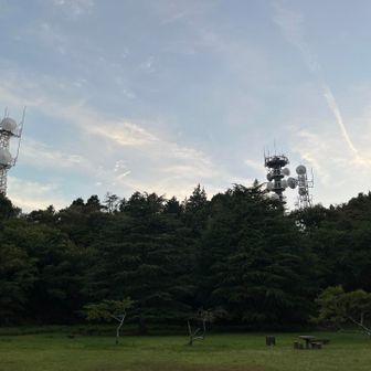 ヤング広場